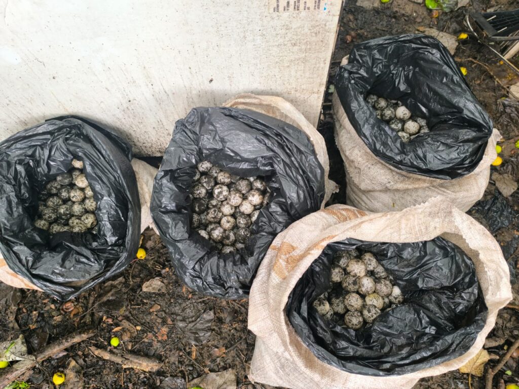 IMG 20240802 WA0112